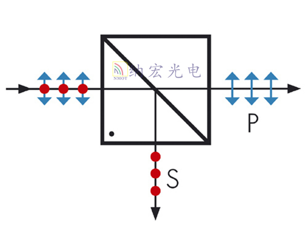 P光和S光 P光和S光